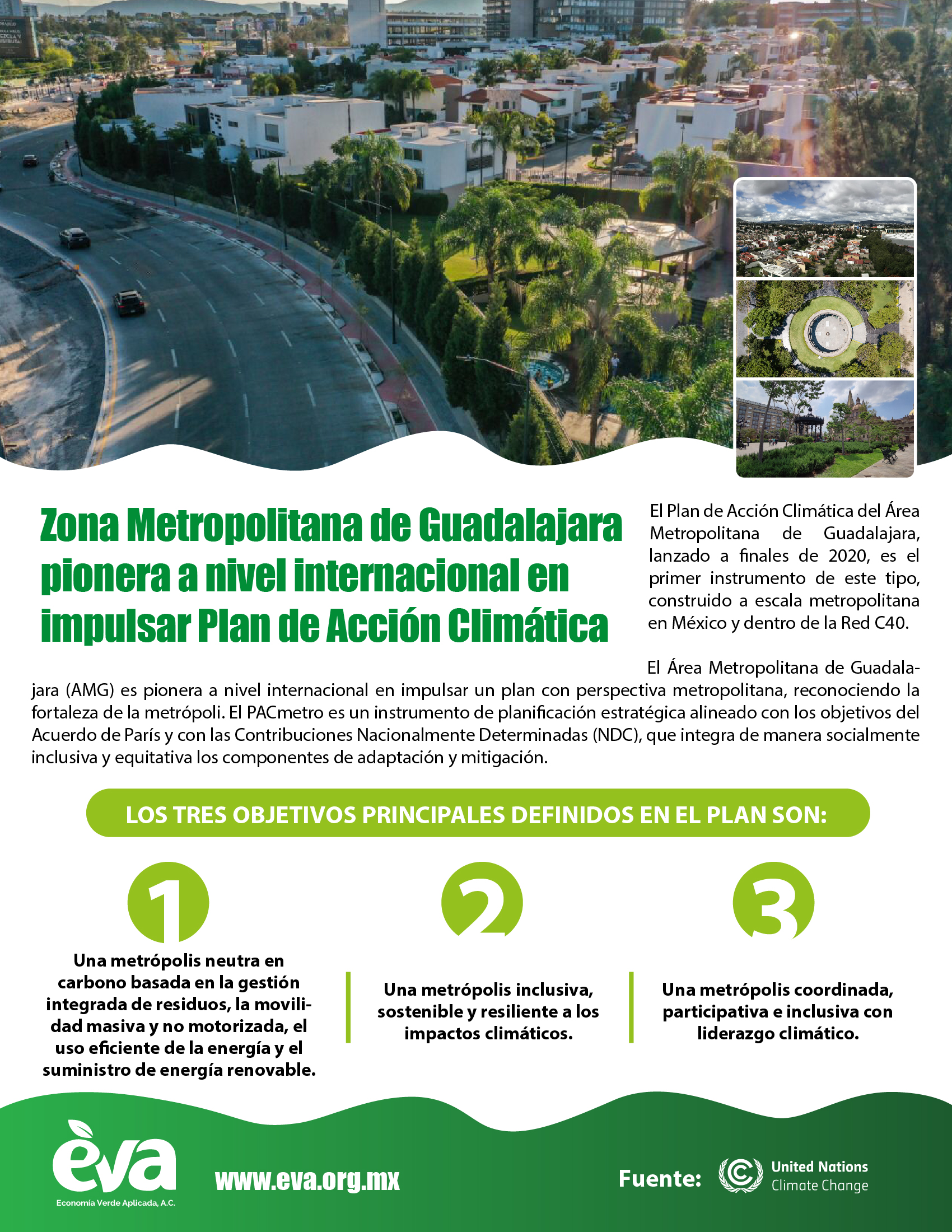 Guadalajara PAC 2_Mesa de trabajo 1 copia